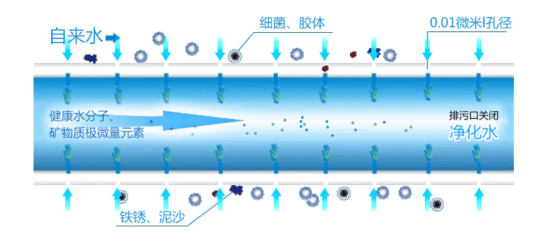 开水器去水垢最全的方法